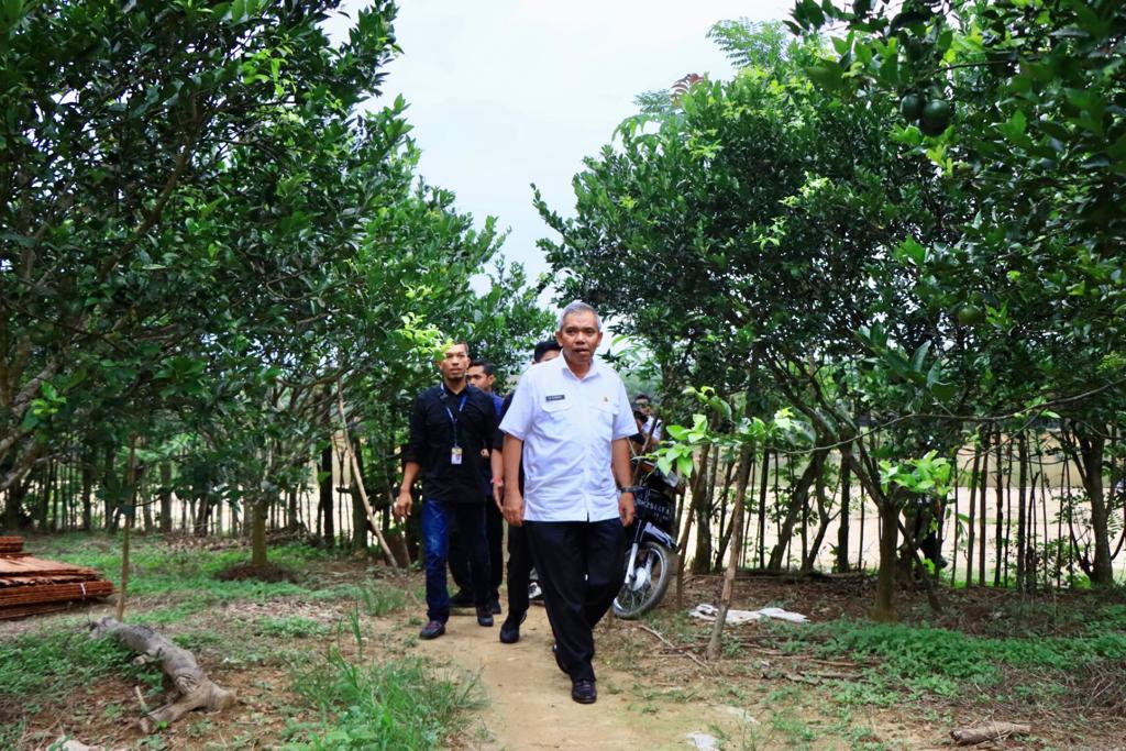 Tinjau Wisata Baru Kuntu Kamsol Kampar Miliki Padang Pantai Yang Indah